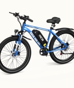 RCB RK15Pro Elektrische Fiets
